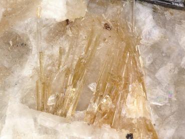 Fluorlamprophyllite